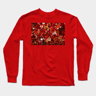 Shades Of Autumn Long Sleeve T-Shirt